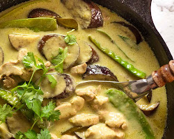 Green Curry Thai dish. A Guide to Thai Cuisine