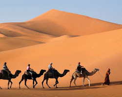 Camel riding in the Sahara Desert, Egypt-Things You Must Do in Egypt
