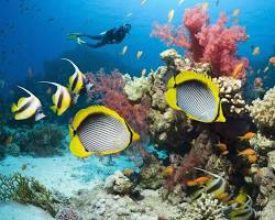 Scuba diving in the Red Sea-Egypt outdoor adventures.
