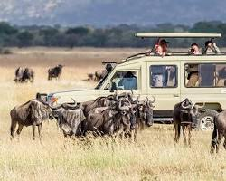 Tanzania Serengeti National Park tourism-Africa