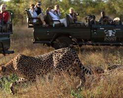 South Africa Kruger National Park tourism-Africa
