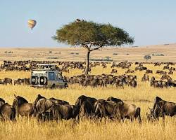 Kenya Masai Mara National Reserve tourism-Africa
